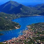 Olivo