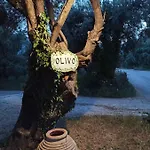Olivo