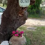 Olivo Lägenhet