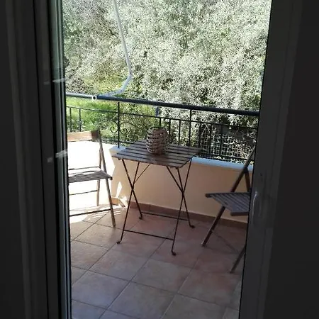 Olivo * نيدري