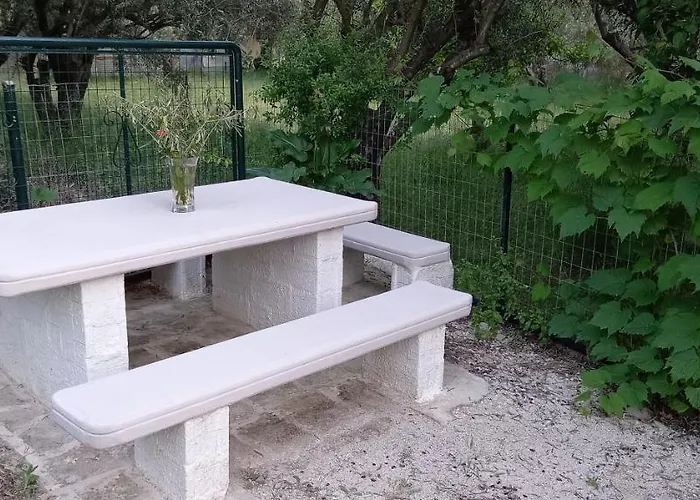 Olivo