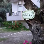 Olivo * Нидри