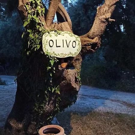 Olivo Apartment *