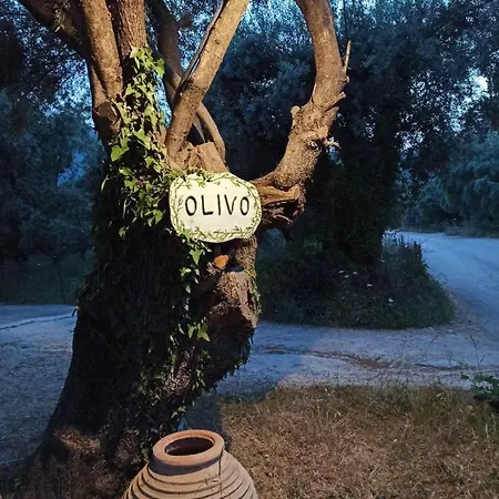 Olivo