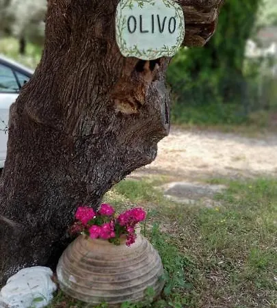 Olivo Apartment