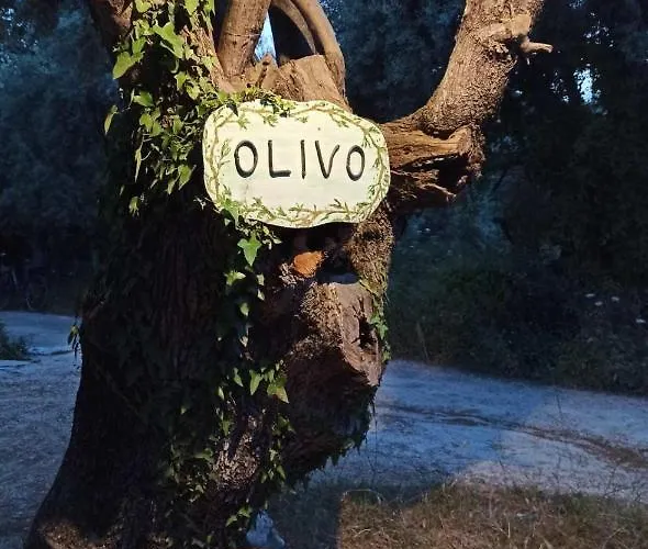 Olivo Appartement *