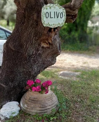 Olivo Appartement